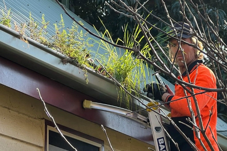 yet another gutter cleaning image taken in the city of wollongong.