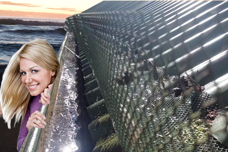 wollongong Woman Inspects Cleaned Gutter with Gutter Guards
