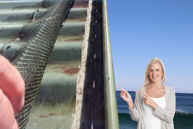 
wollongong Woman Thrilled by Cleaned Underneath Gutter Guard Achievement
